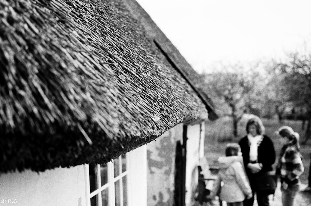 20110425 DSC 7418 Bearbeitet