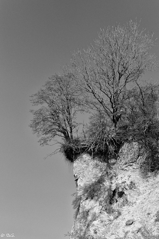 20110425 DSC 7450 Bearbeitet