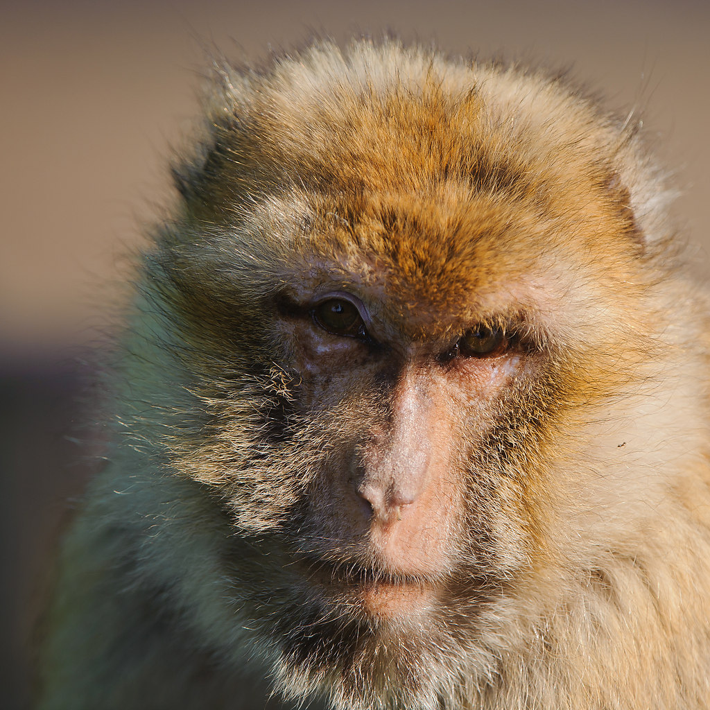 20110429 8218 [NIKON D3] 400 mm,1 400 Sek. bei ƒ   4,5