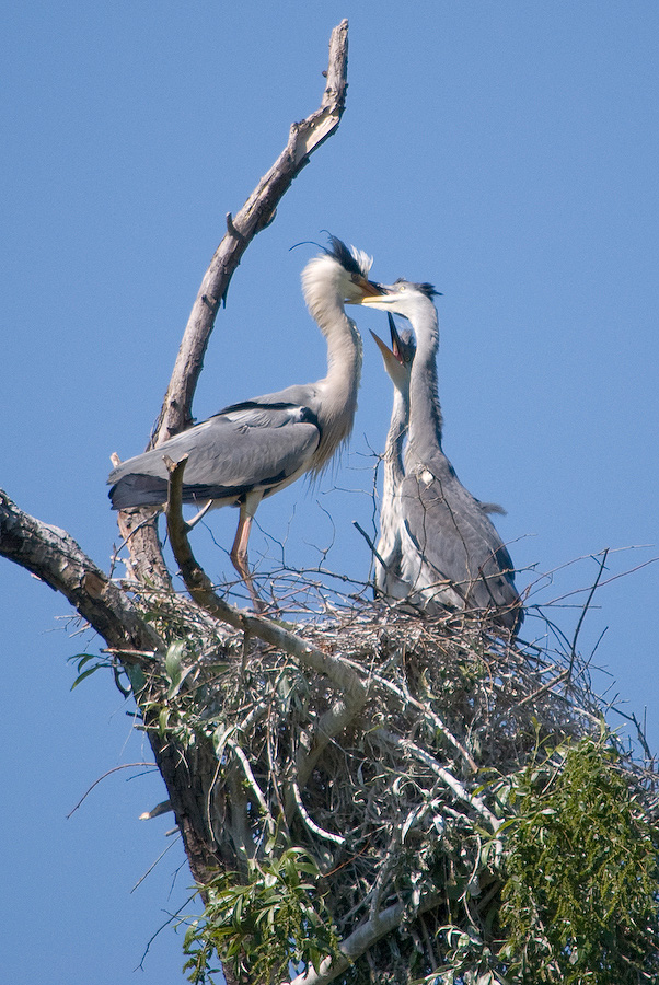 20110506 DSC 8163