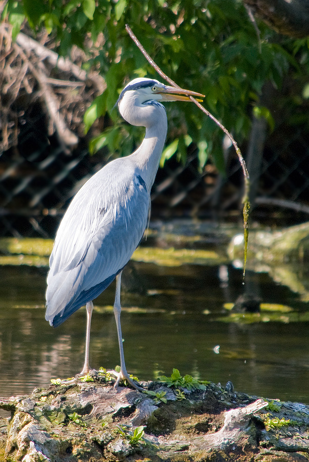 20110506 DSC 8242