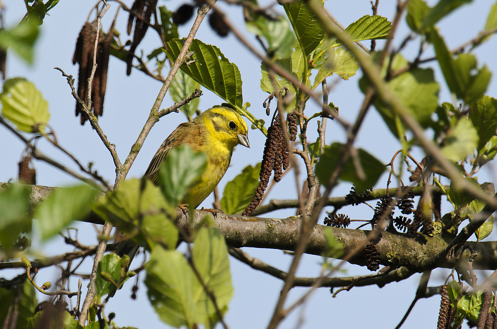 20110507 1675 [NIKON D5100] 850 mm,1 400 Sek. bei ƒ   8,0