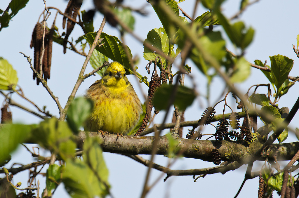 20110507 1742 [NIKON D5100] 850 mm,1 400 Sek. bei ƒ   7,1