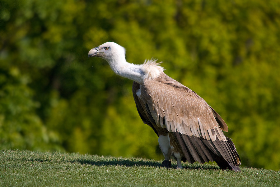20110507 DSC 8430