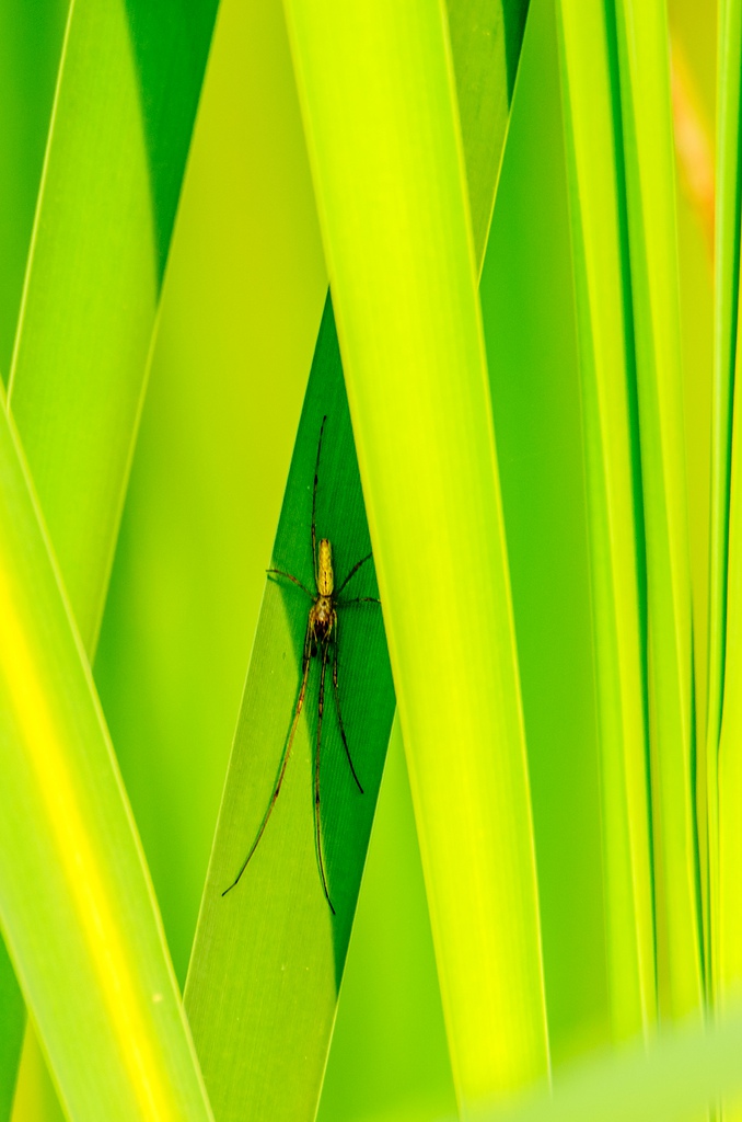 20110511 25916 [NIKON D2Xs] 850 mm,1 80 Sek. bei ƒ   8,0