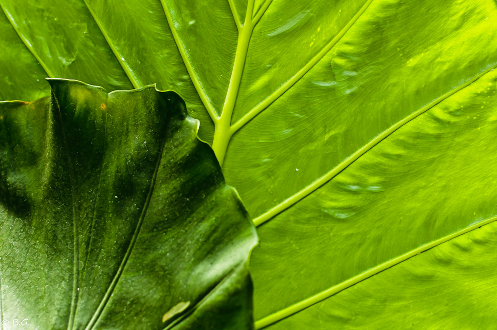 20110515 DSC 7664
