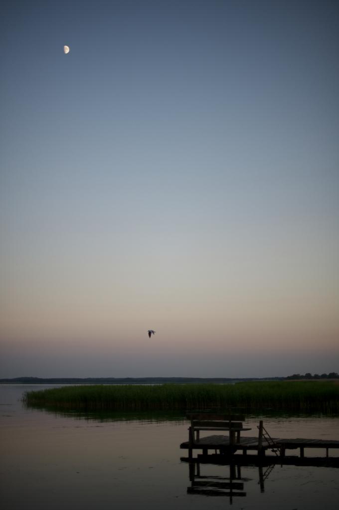 20110610 0181