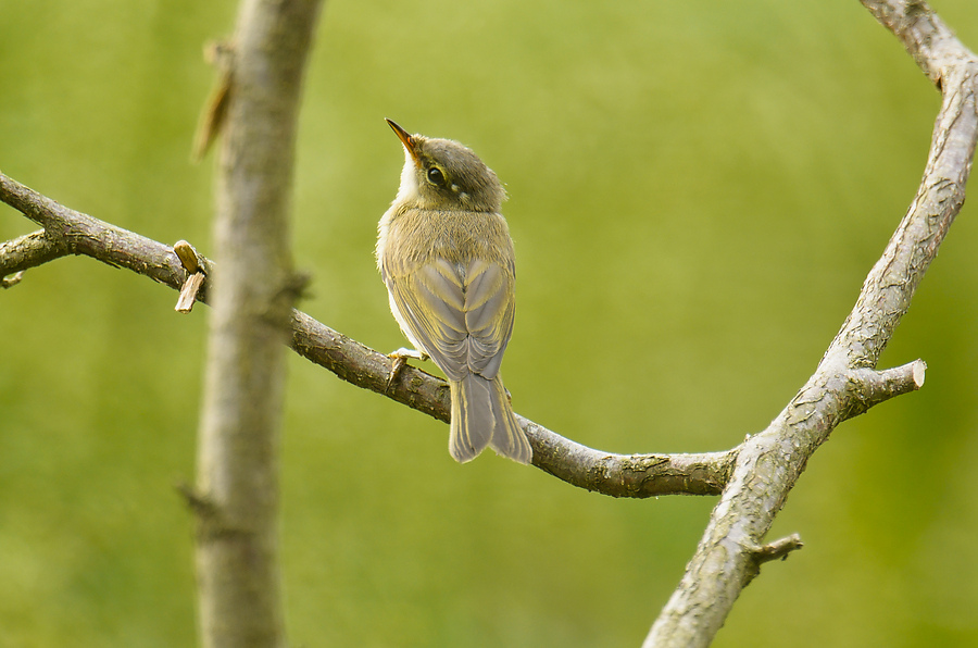20110707 4533 [NIKON D7000] 850 mm,1 100 Sek. bei ƒ   6,3