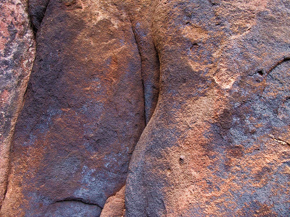 20110730 IMG 2028