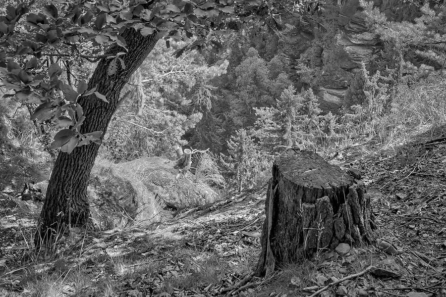 20110803 4971 [NIKON D5100] 24 mm,1 160 Sek. bei ƒ   7,1 Bearbeitet 2