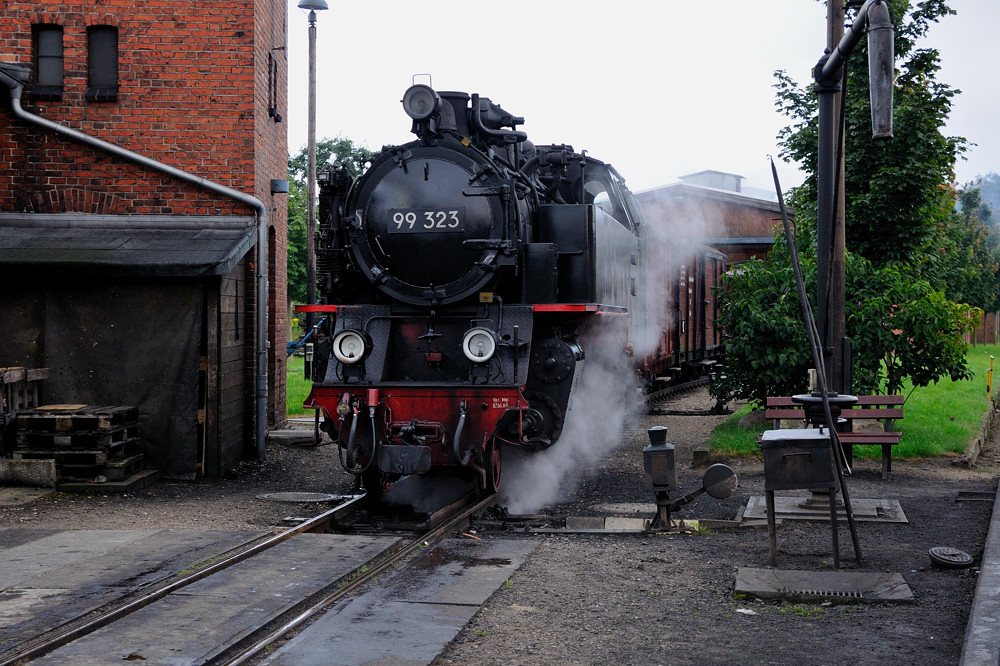 20110806 10 Molli Doberan