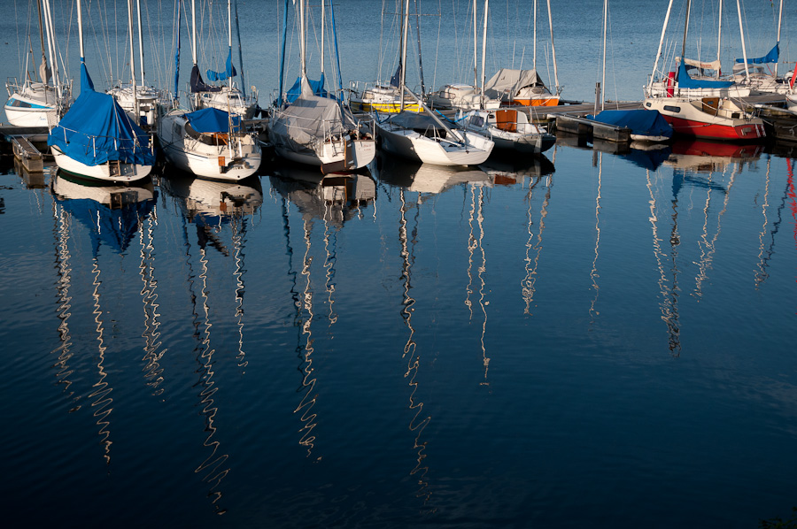 20110811  DSC3608