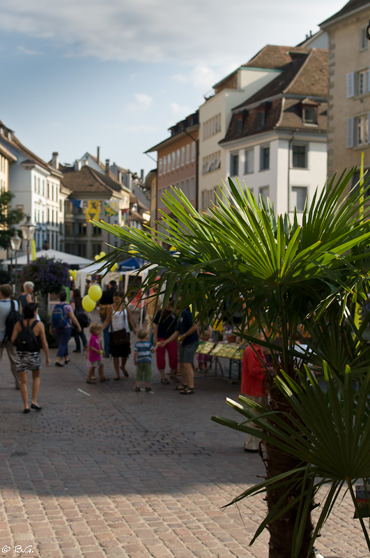 20110820 DSC 8228
