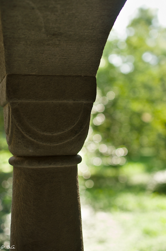 20110820 DSC 8292