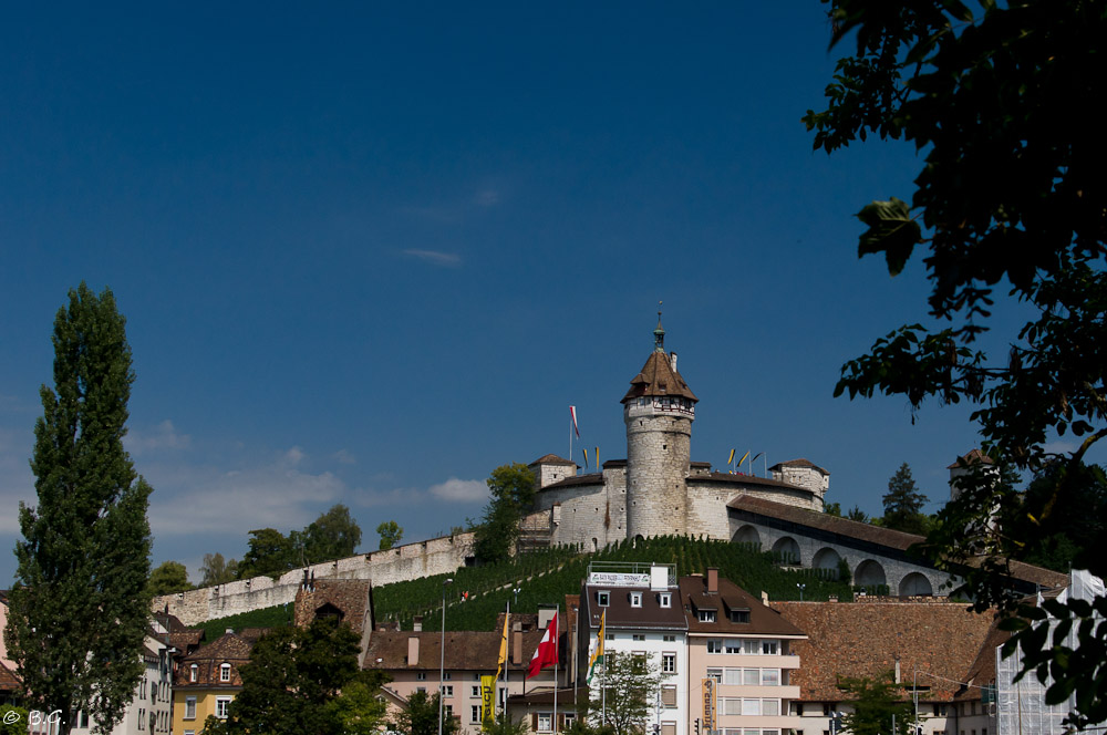 20110820 DSC 8323