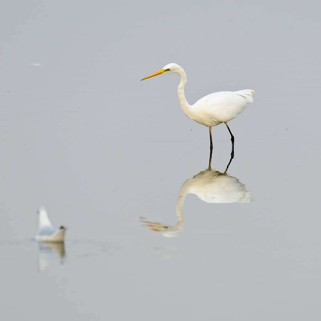 20110902 6073 [NIKON D7000] 600 mm,1 100 Sek. bei ƒ   5,6