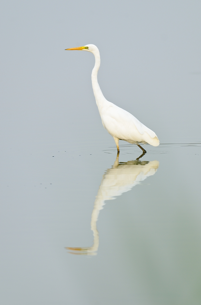20110902 6103 [NIKON D7000] 600 mm,1 60 Sek. bei ƒ   5,6