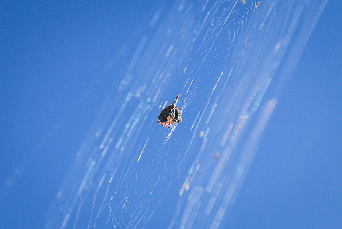 20111001-DSC_0361.jpg