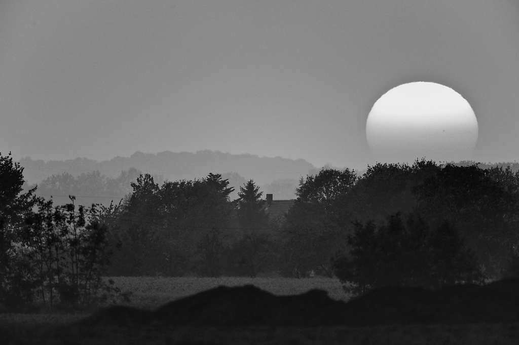 20111002 0988 [NIKON D3] 850 mm,1 400 Sek. bei ƒ   5,6 Bearbeitet