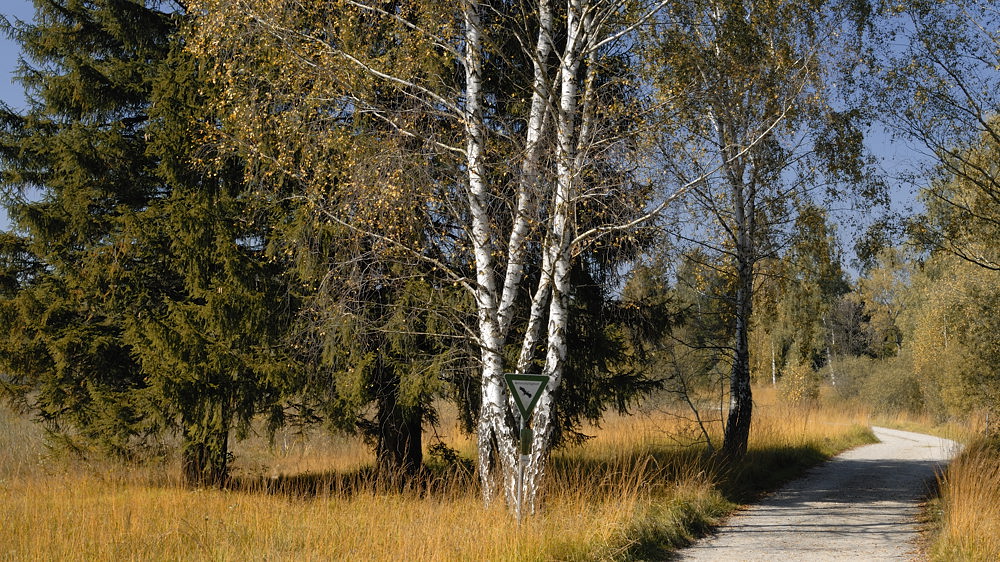 2011100413380732