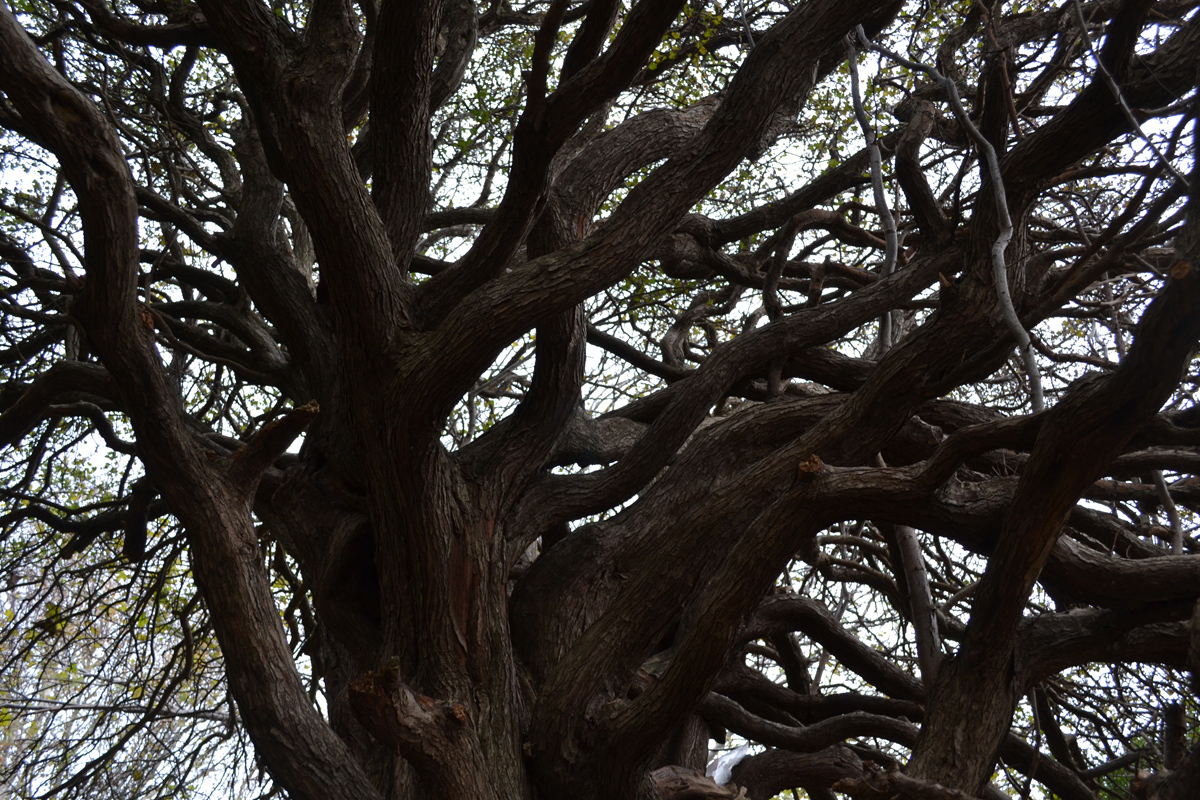 20111024_130349nf.jpg
