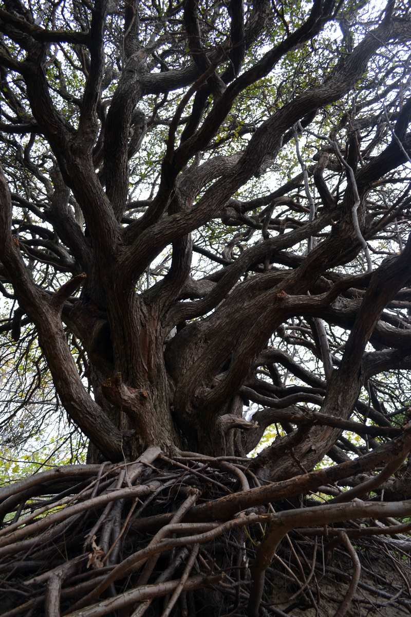 20111024_130353nf.jpg