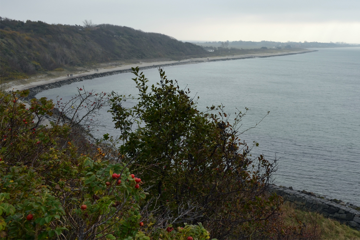 20111024_130824nf.jpg