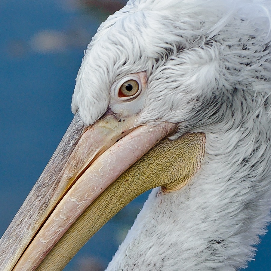 20111101 1558 [NIKON D3] 200 mm,1 500 Sek. bei ƒ   4,0