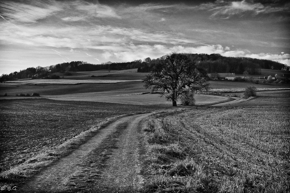20111106 DSC 8973 Bearbeitet