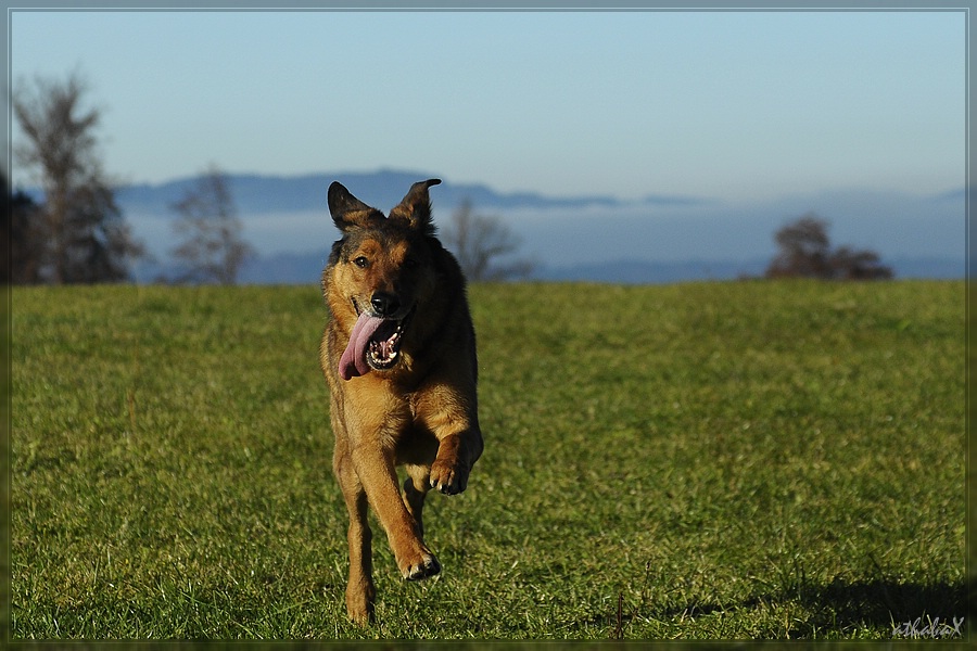 20111113 098 2 comp