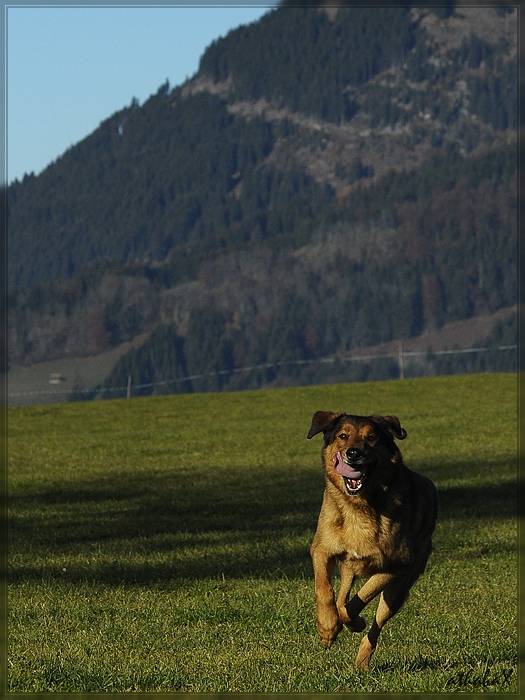 20111113 124 2 comp