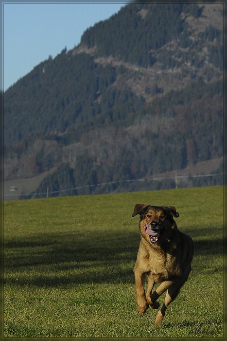 20111113 124 3 comp