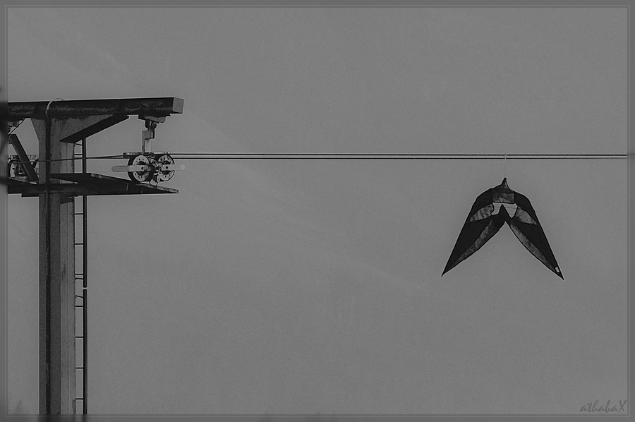 20111113 180 1 3 comp
