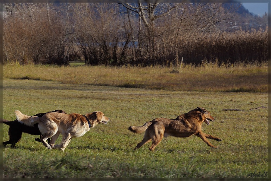 20111116 536 2 Kopie comp
