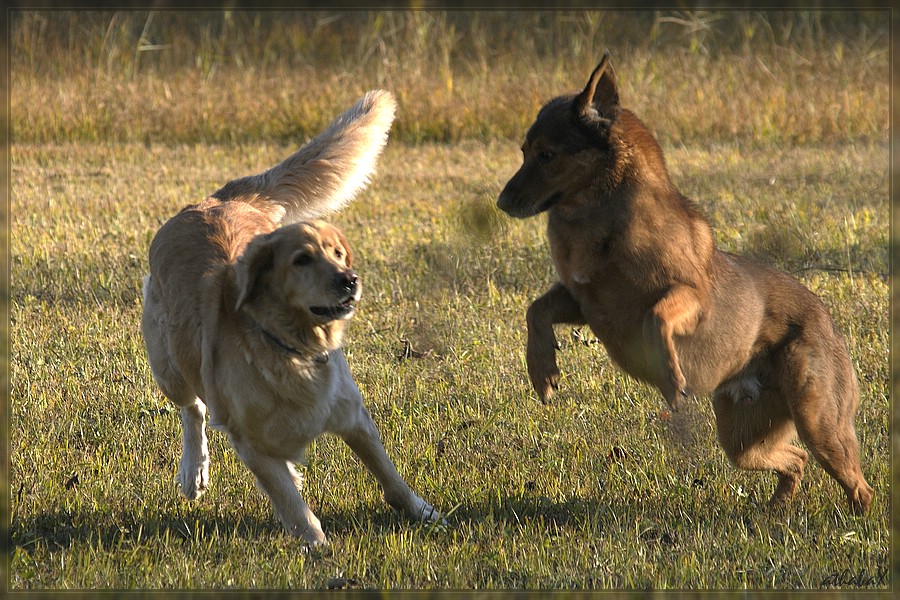 20111116 576 2 Kopie comp