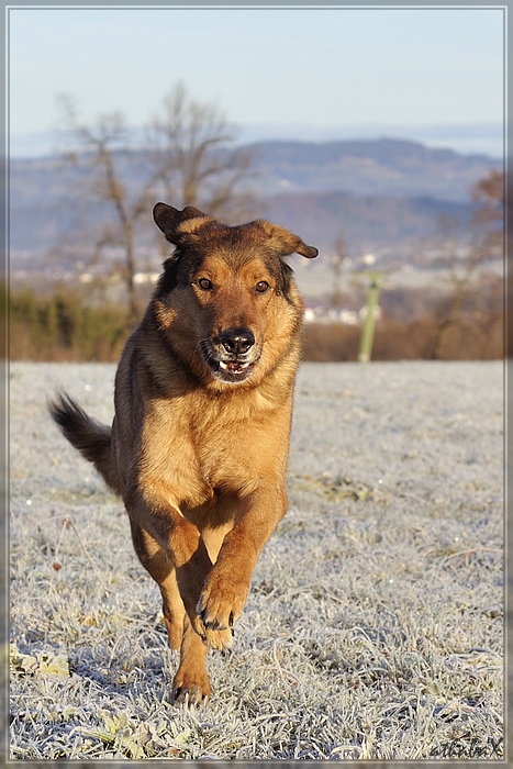 20111118 989 2 comp