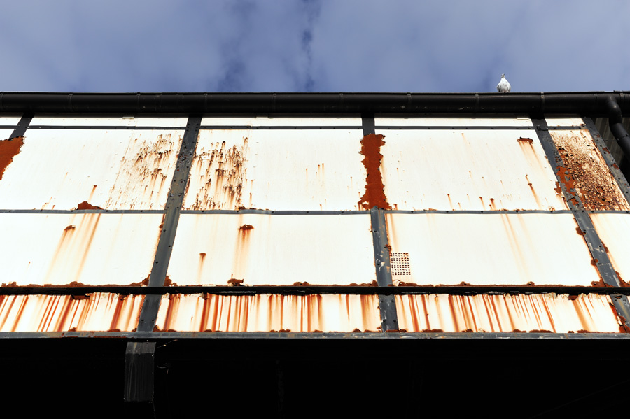 20111119 DSC 0930