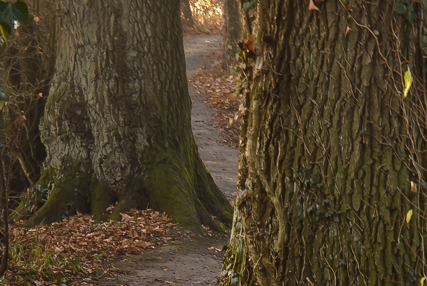20111121 0137 [NIKON 1 V1] 30.9 mm,0,6 Sek. bei ƒ   6,3 2