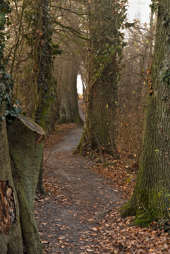 20111121 0137 [NIKON 1 V1] 30.9 mm,0,6 Sek. bei ƒ   6,3