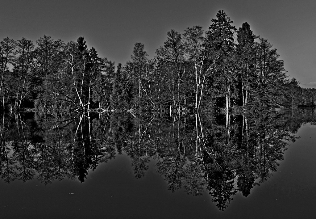 20111121 095803 sw
