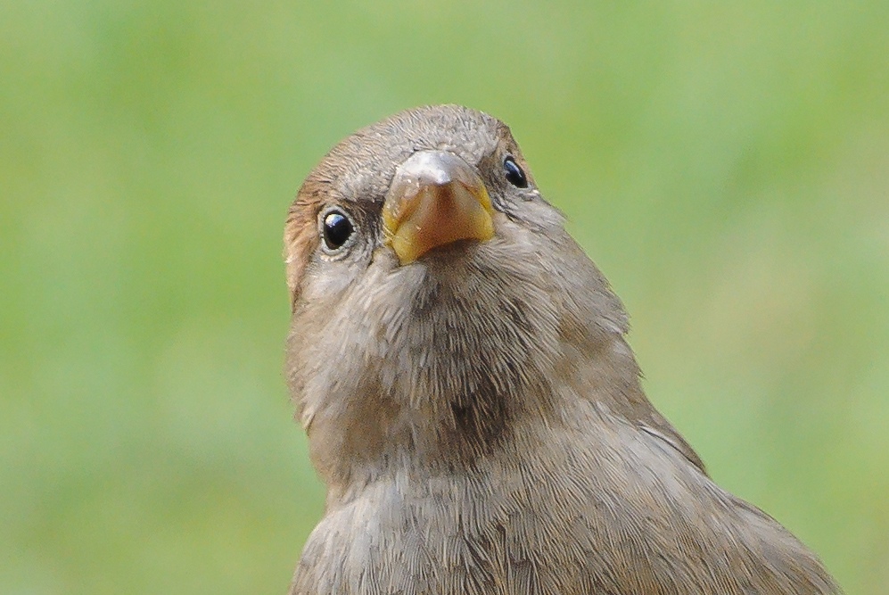20111210 0511 [NIKON 1 V1] 110 mm,1 30 Sek. bei ƒ   6,3 2