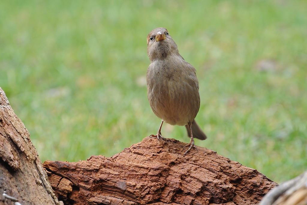 20111210 0511 [NIKON 1 V1] 110 mm,1 30 Sek. bei ƒ   6,3