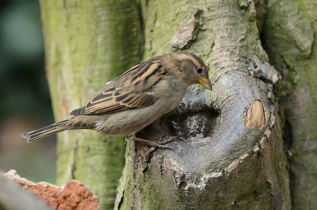 20111210 6429 [NIKON D5100] 180 mm,1 60 Sek. bei ƒ   5,6 2