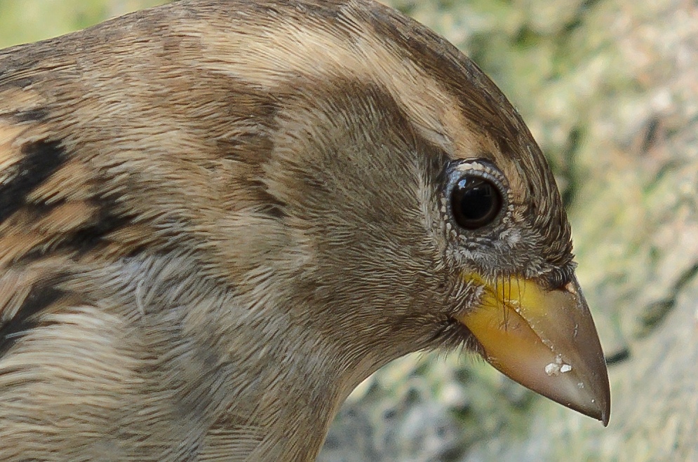 20111210 6429 [NIKON D5100] 180 mm,1 60 Sek. bei ƒ   5,6