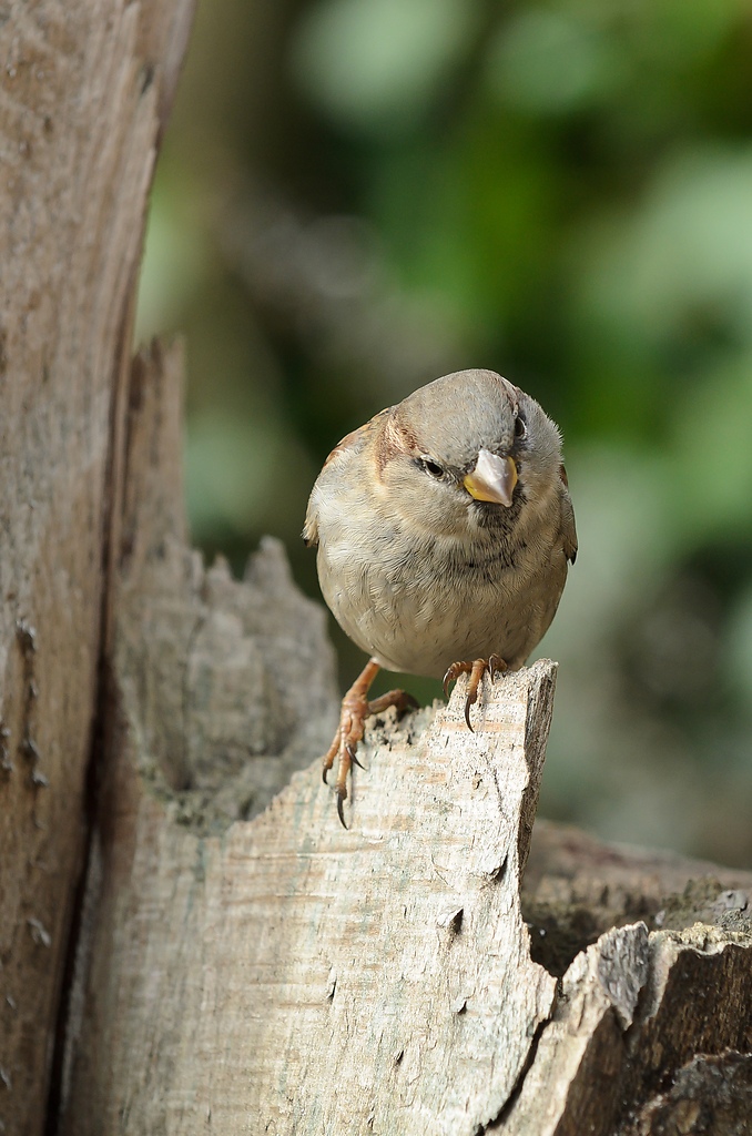 20111210 6438 [NIKON D5100] 170 mm,1 80 Sek. bei ƒ   5,6