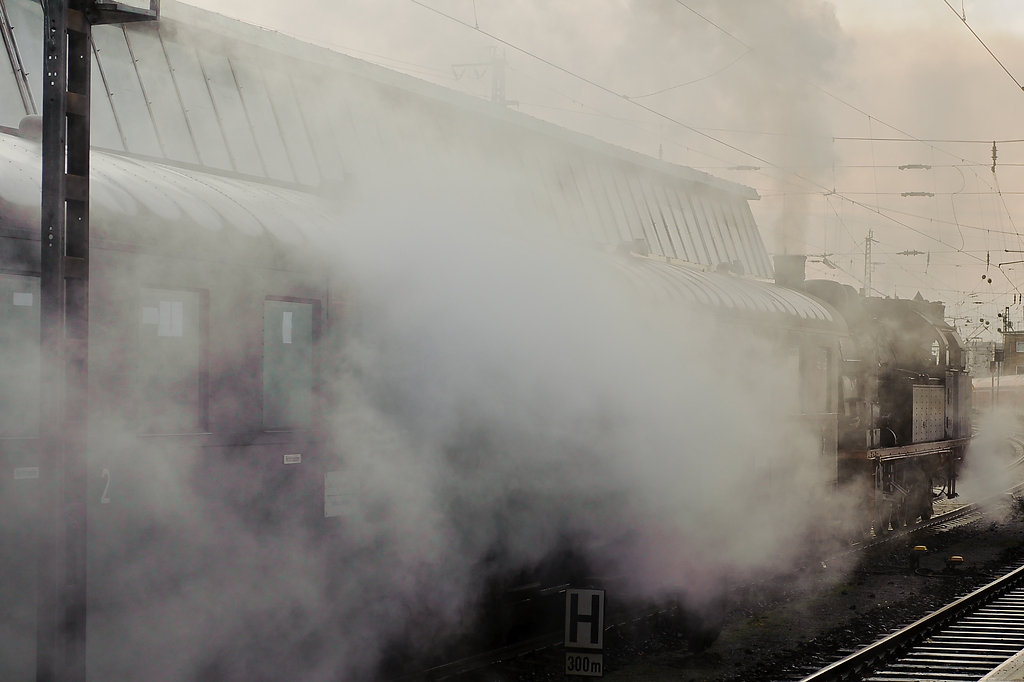 20111218 2096 [NIKON D3] 70 mm,1 250 Sek. bei ƒ   5,0