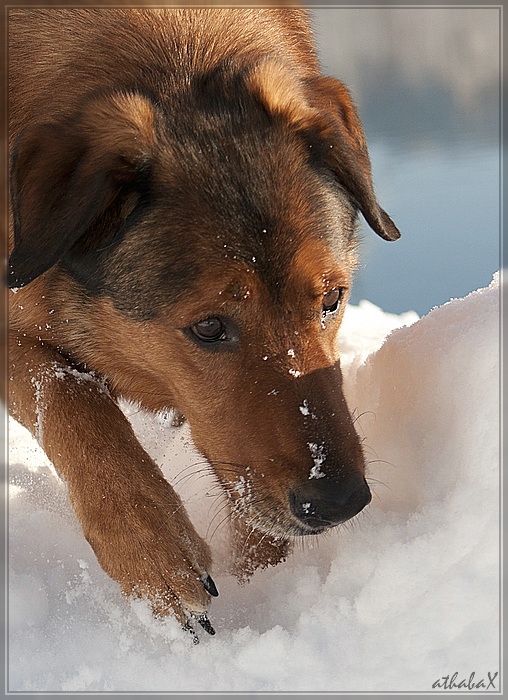 20111219 086645 1 2 comp