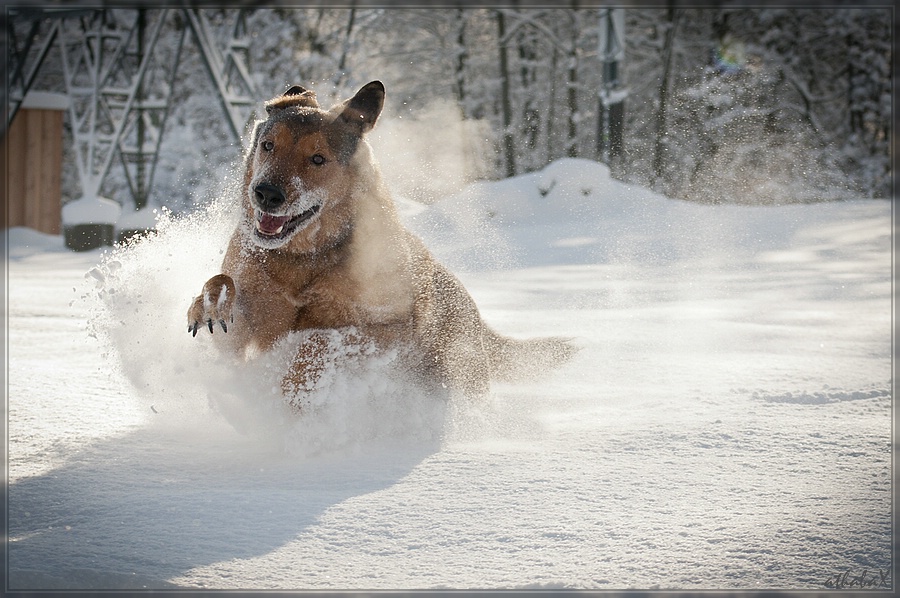 20111219 086675 Bearbeitet comp