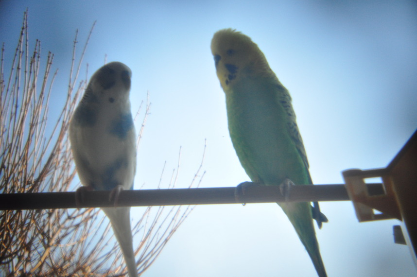 2012 02 27 16 07.geaendert