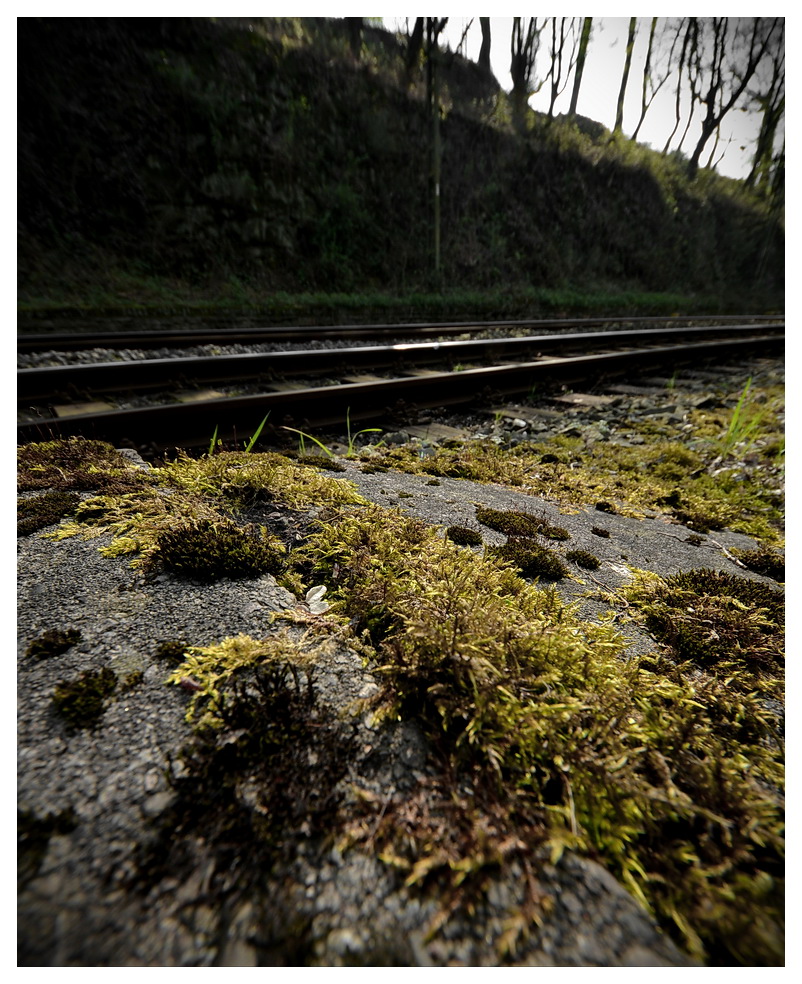 2012 04 Hattingen DSF 2062 1 k